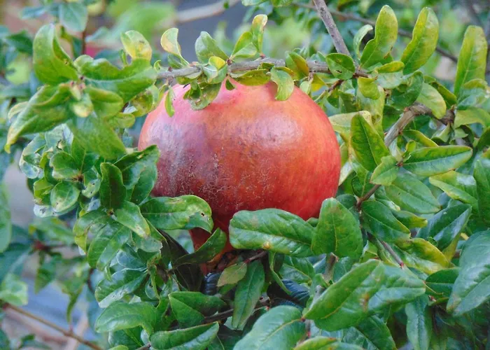 Boladina Experience 3* Baunei